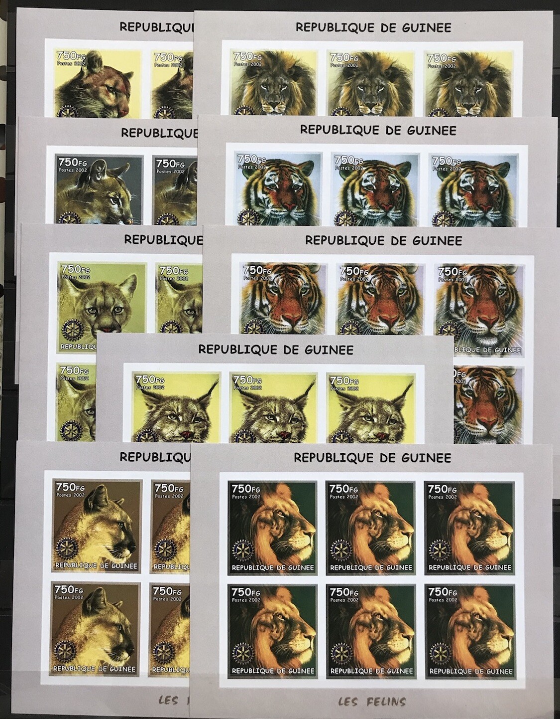 Picture 1 of 1
