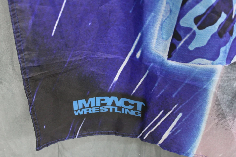 Bandera de lucha libre de impacto TNA - División Madison Rayne Knockouts - Bandera de una cara Foto 3 de 4