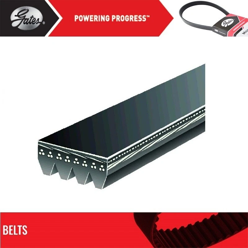 GATES OE Micro-V Belt For 1988-1989 GMC C2500 V6-4.3L - Изображение 2 из 4