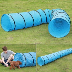 agility training tunnel for dogs