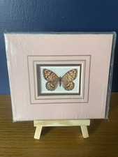 Original Arabella Vincenti Handmade Illustrated Colour Lithos.