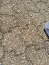 GERATEK MAGDEBURG TK7000 XB100CF4A  Kondenstrockner Lüfterrate Gebläse 42161615