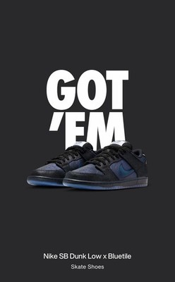 Nike SB Dunk Low x Bluetile Mens Size 10   in hand 