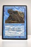 MTG, GIANT TORTOISE, ARABIAN NIGHTS, NM, LIGHTLY PLAYED