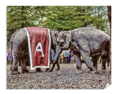 Alabama Crimson Tide Football Team Elephant Mascot Art Print MC1 Choices