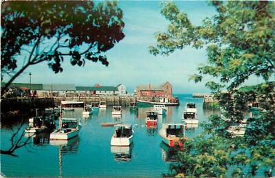 Rockport Massachusetts Picturesque View Harbor boats  Tichnor Postcard 24-8459