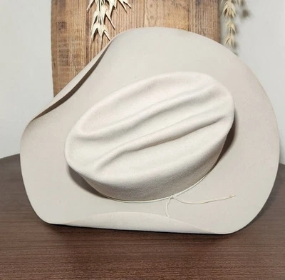 メタルスライム60's stetsonOPEN ROAD3X BEAVER Stetson Beaver 1960s Vintage Hats for Men for sale | eBay