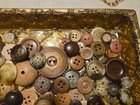 Mixed Assorted Button Lot BROWN & BEIGE Earth Tones Free Shipping — photo 4