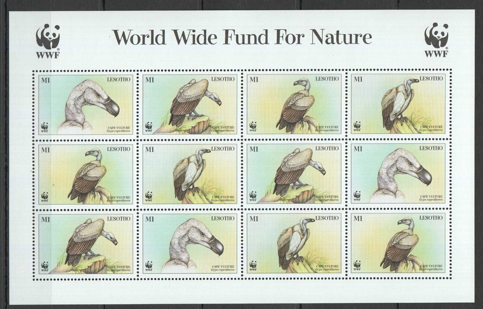 PK142 LESOTHO WWF BIRDS OF PREY VULTURES FAUNA 1SH MNH STAMPS | eBay