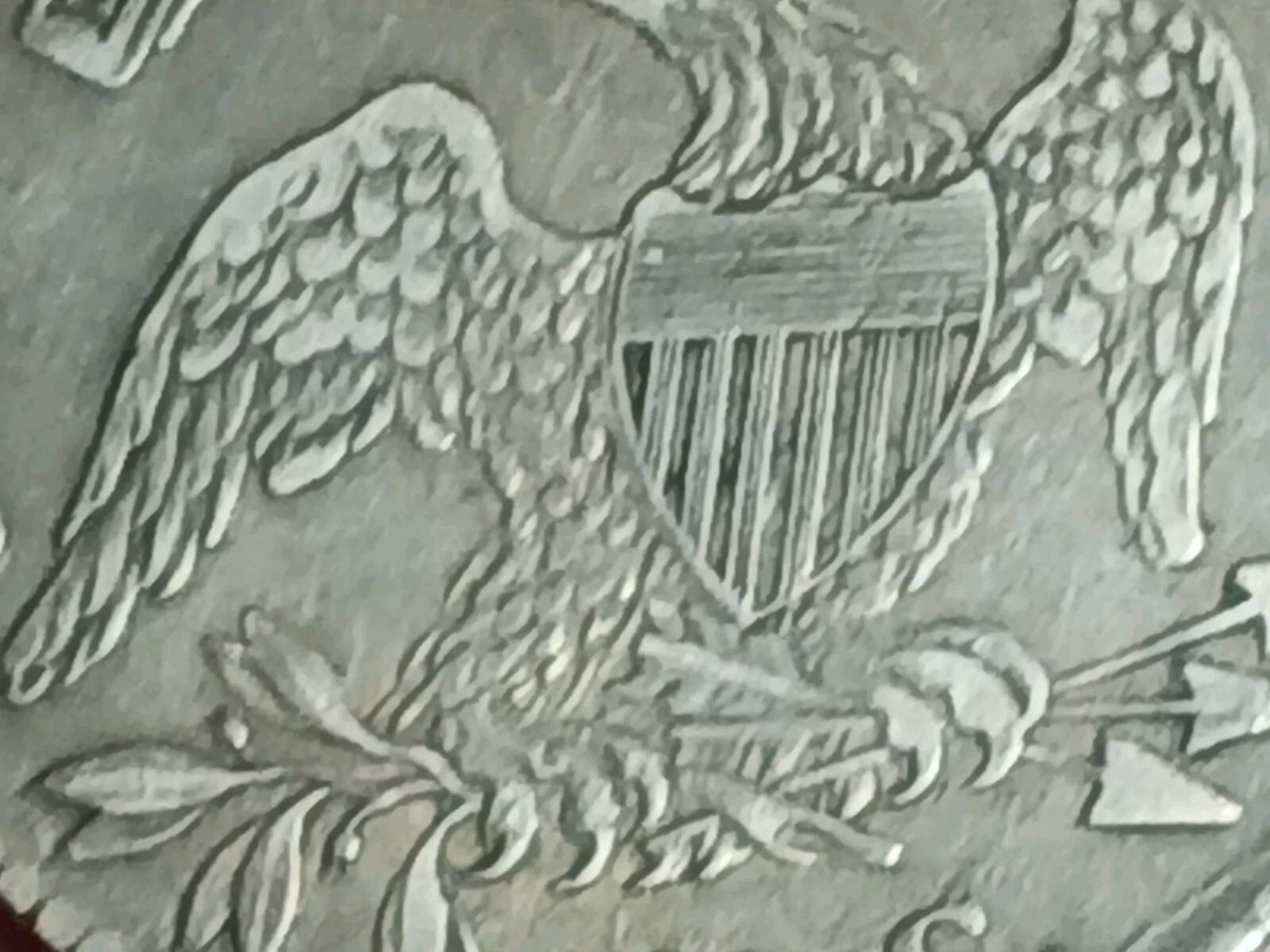 Picture 12 of 13