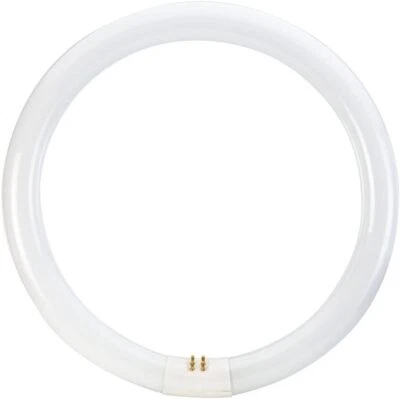 Osram 40cm Circular Fluorescent T9 Tube 40W G10q 4-pin Daylight 6500K