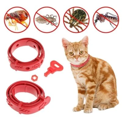 3 Stk Flohhalsband Katze, Zeckenhalsband, Ungezieferhalsband, Flöhe, Zecken 29cm