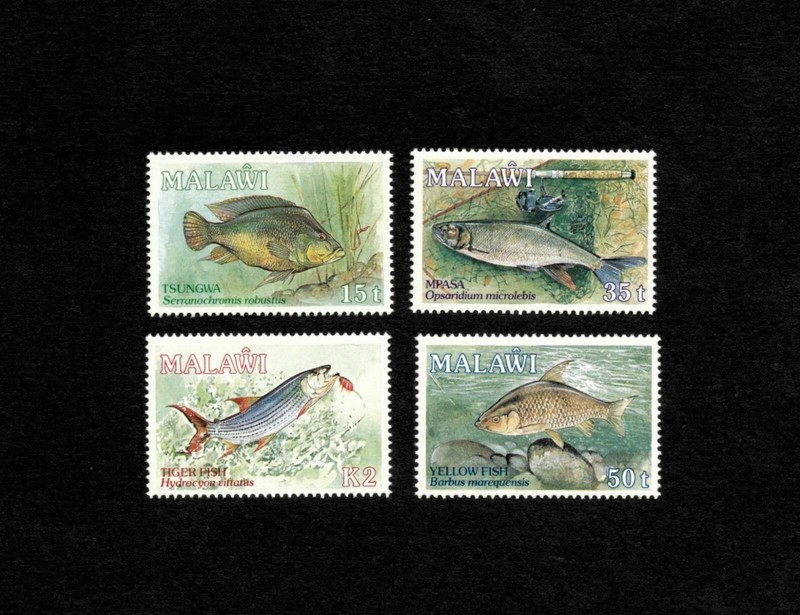 VINTAGE CLASSICS - Malawi 1989 - Fish - Set of 4 Stamps - Scott #542-5 - MNH