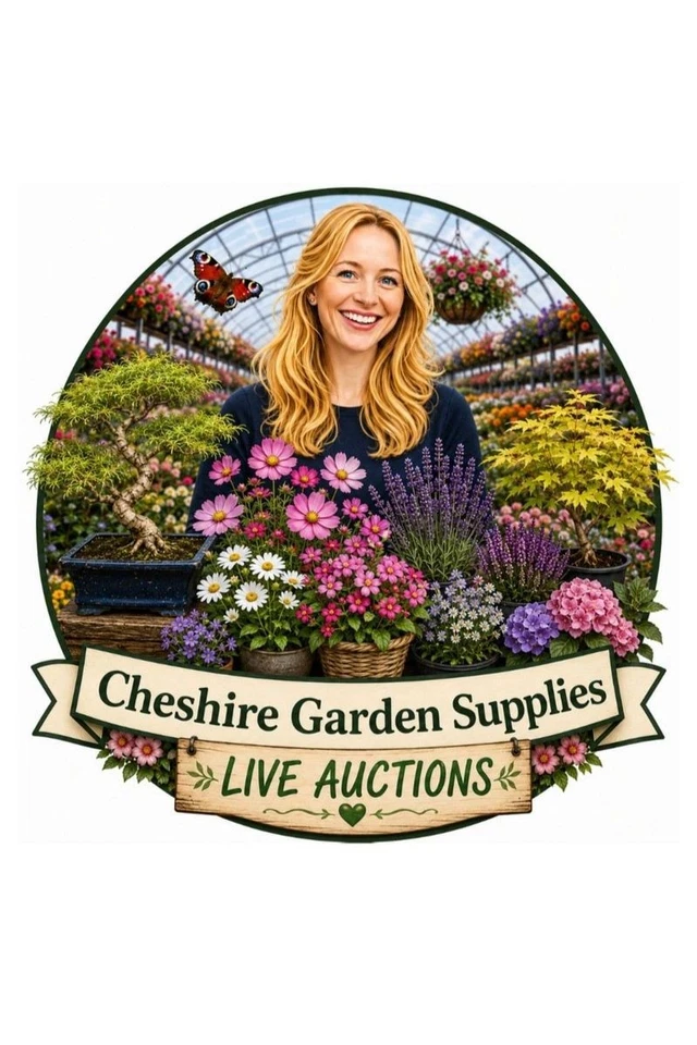 🌿Perennials & Annuals 🌿💚 Outdoor Bonsai Available ! 💚Giveaways !!!!💚