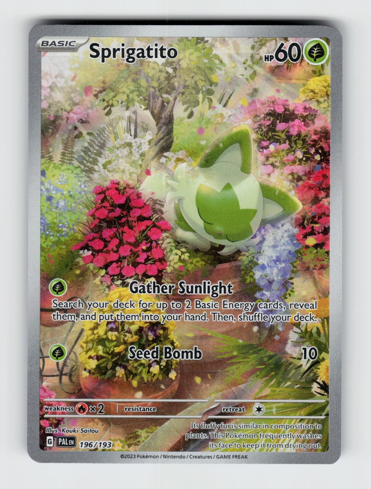 Sprigatito 196/193 Holo Illustration Rare Paldea Evolved Pokemon 2023 LP Saitou