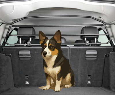 NORDRIVE Griglia Trenngitter Für Hunde Auto Mercedes Klasse C SW 2001-2007