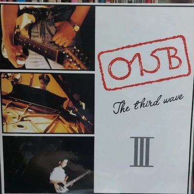 O15B The Third Wave Vinyl LP Album