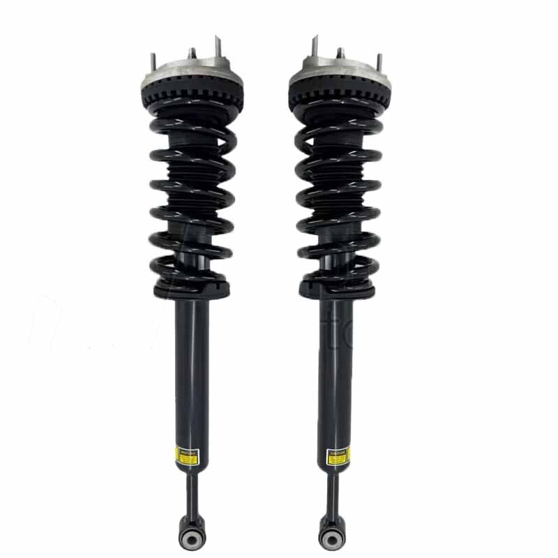 2PCS Front Shock Absorber Struts Assys For Maserati Ghibli RWD 14-2019 670008896