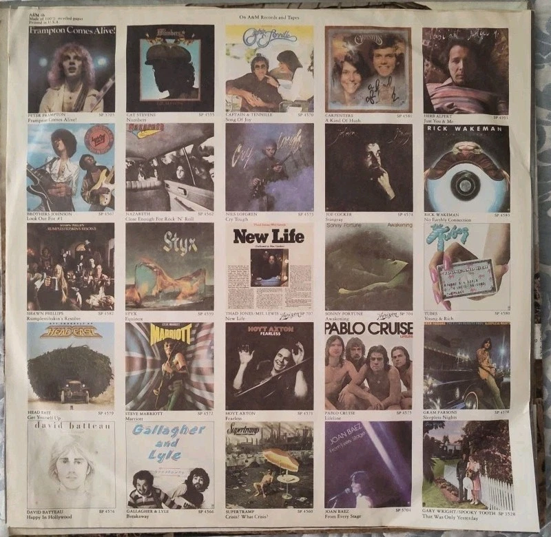 The Flying Burrito Bros: The Gilded Palace Of Sin (Vinyl LP) SP4175 A&M Foto 3 de 4