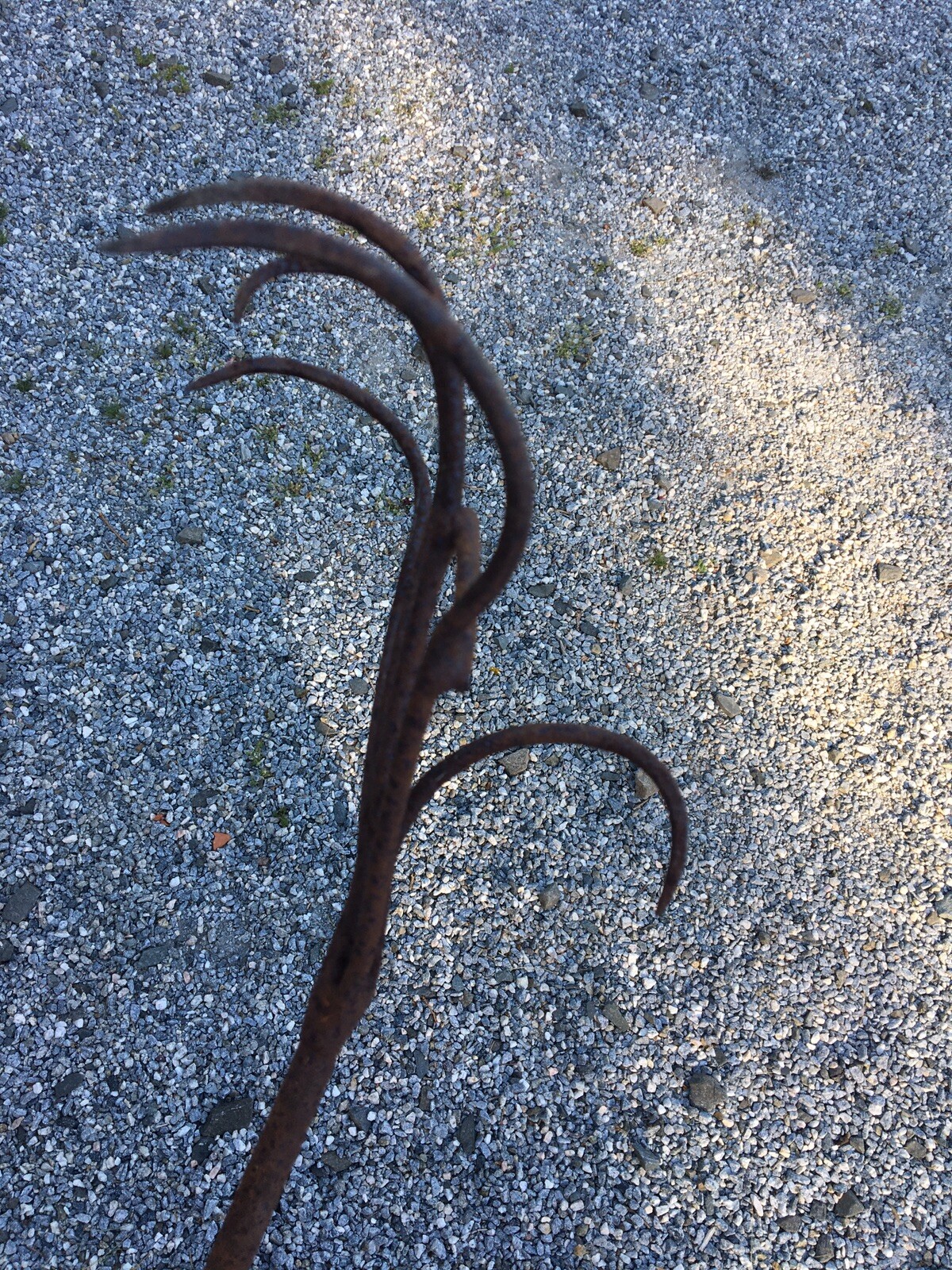 Antique Clam Rake New Haven Connecticut Shellfish Oyster Blacksmith 8 ...