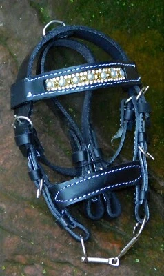 TYSONS BREECHES Deko Trense Minitrense Autospiegel Leder Silber Gold Farben Strass Glitzer TY