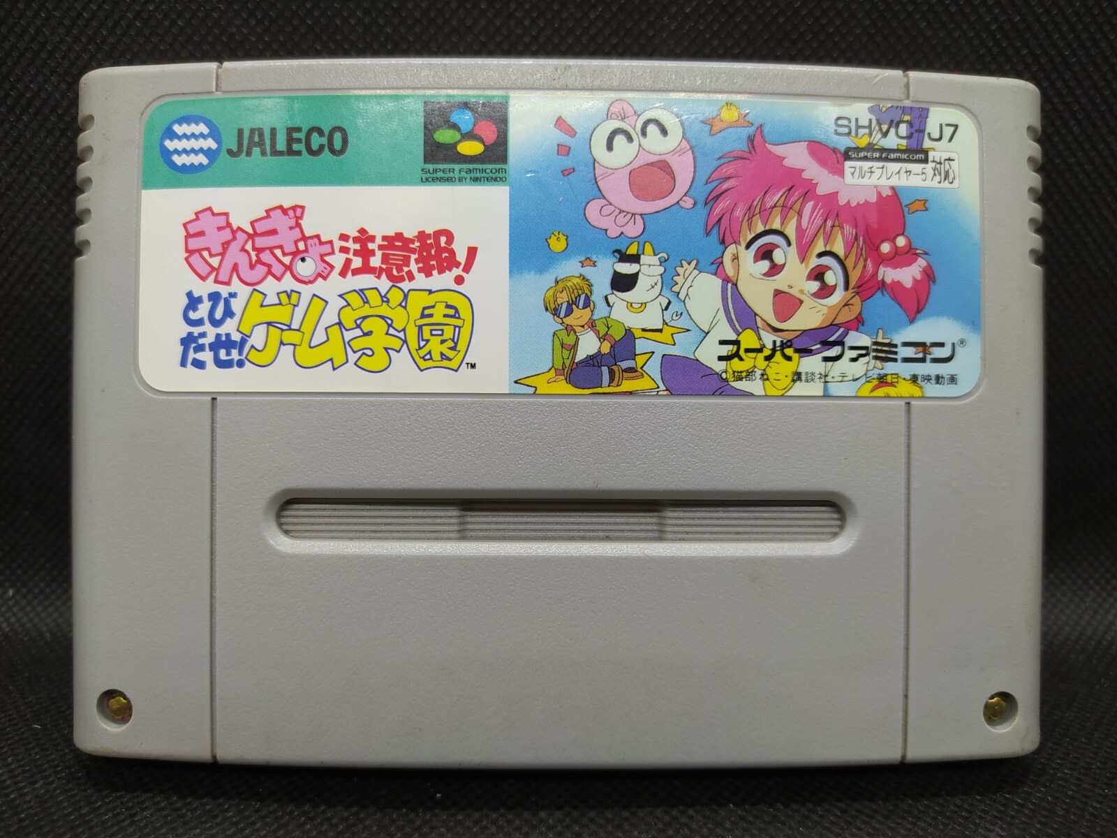Kingyo Chuuihou Tobidase Game Gakuen - Super Famicom Nintendo SFC JP - SHVC-J7