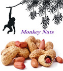Monkey Nuts Peanuts in Shells for Squirrels Wild Birds Parrots Wildlife Hamsters