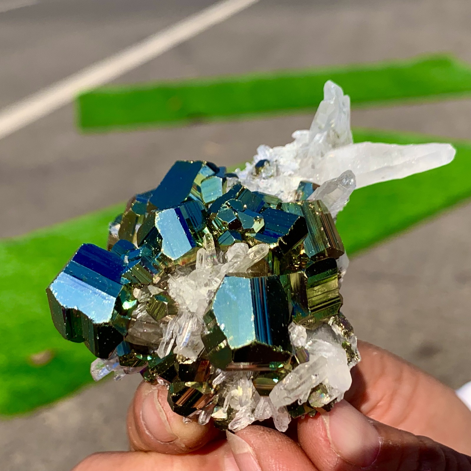 133G Natural colorful chalcopyrite clear Cluster coexisting crystal mineral