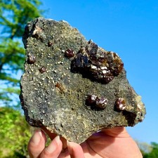 1.35LB Natural Garnet And Sphalerite Symbiotic Mineral Specimen Reiki Healing