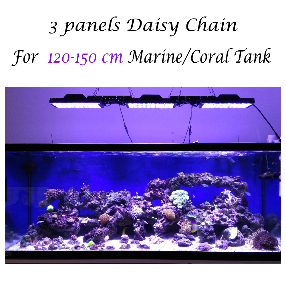 5ft aquarium light