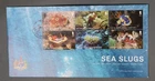 MayfairStamps British Indian Ocean Territory FDC 2020s Block Sea Slugs First Day