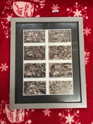 JASPER JOHNS, Kunstdruck, SELTEN GERAHMT, GALERIE ATEMBERAUBEND IKONISCH