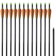NNEVL Standard Compound Bow Arrows 30" 0.8 cm Fiberglass 12 pcs