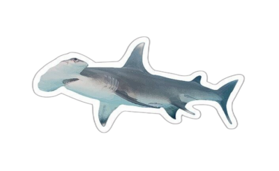 #ad Hammerhead Shark Sticker Decal $2.89