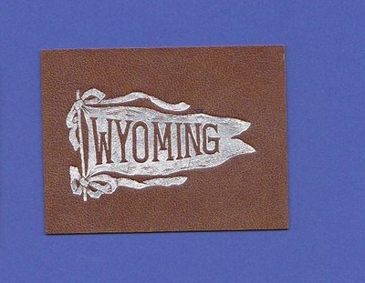 c1910s L21 tobacco / cigarette leather UNIVERSITY OF WYOMING #2 PENNANT  Nice!!
