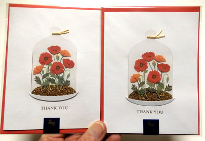 2 Niquea.D Cards Thank You Cloche Terrarium of Plants You're so Thoughtful