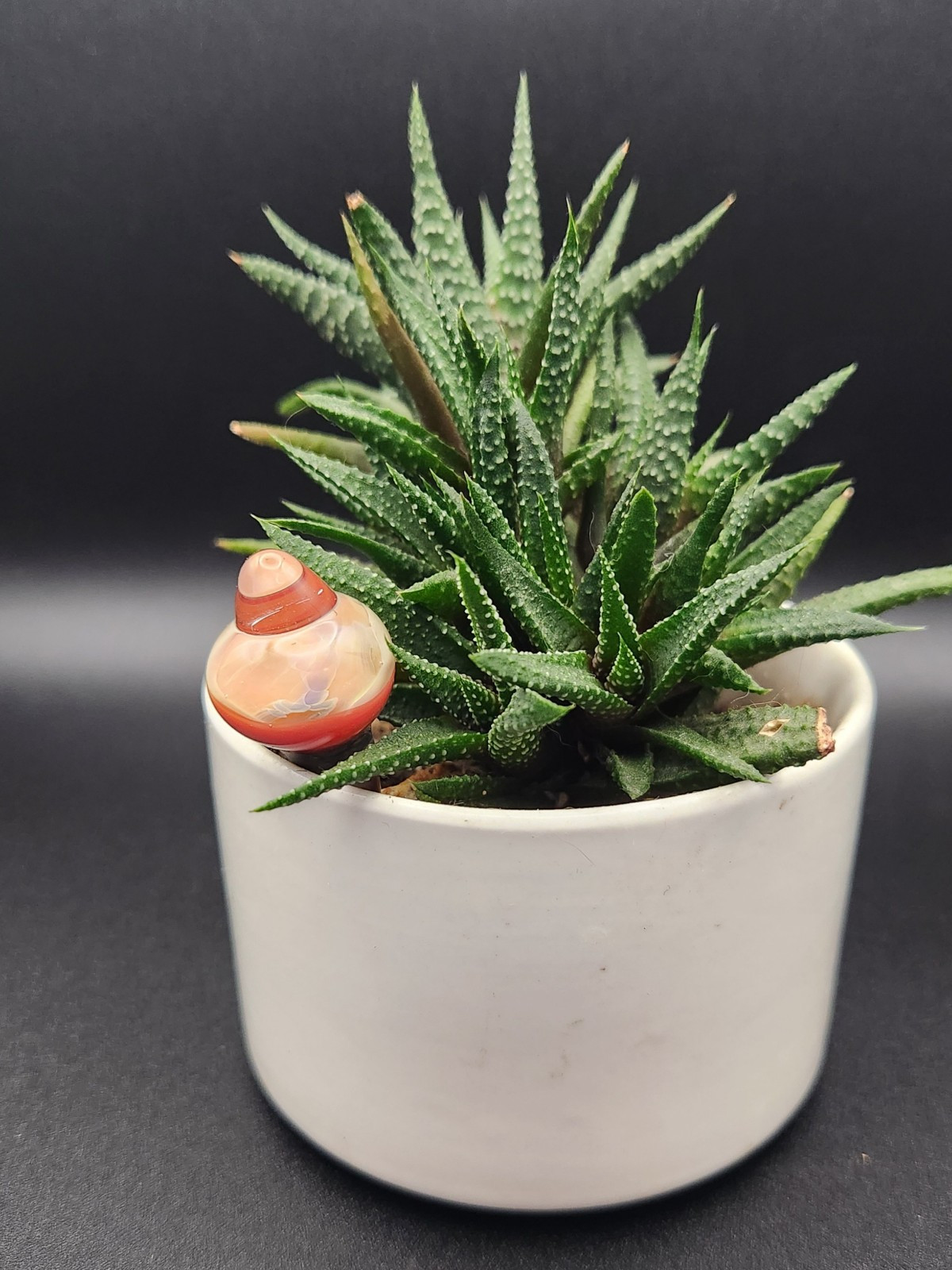 Decorative Glass Garden Stake for Plants and Flowers  