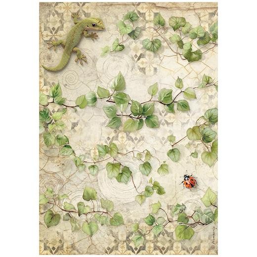 Stamperia A4 Rice Paper - All Around Ivy DFSA41121