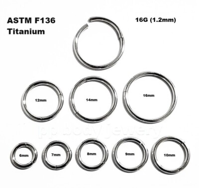 2pcs G23 Titanium Hinged Segment Rings – 16G 14G 18G For Cartilage Daith Nose Lip