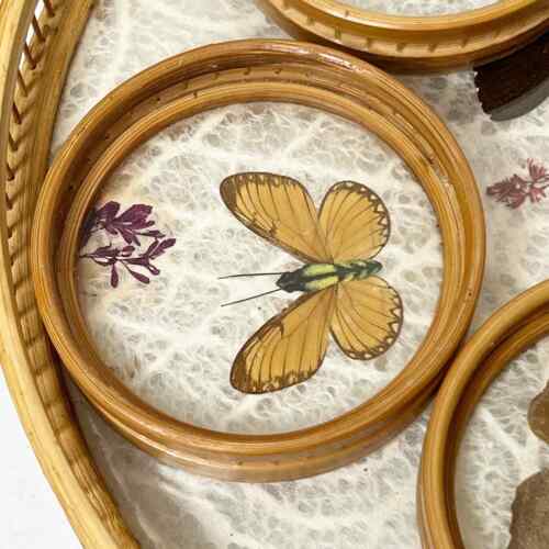 Vintage MCM Pressed Butterfly Bamboo Tray & Coaster Set 6 Pieces - Picture 6 of 13