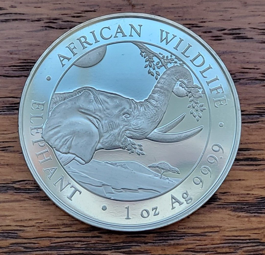 2023 Somali Republic 1 oz .9999 Fine Silver Elephant 100 Shillings