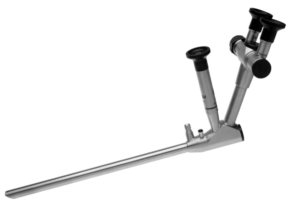 Telescopio Estéreo de TEM de 50°/70° de Richard Wolf con Ojo de Lupa Fijo y Ajustable 13.8mm WL 259mm