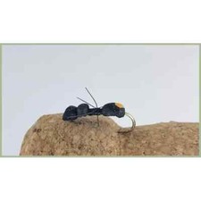 Ant Trout Flies, 6 Per pack Black Foam Ant, Choice of Sizes, For Fly Fishing