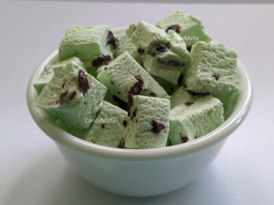 Freeze Dried Ice Cream - MINT CHOCOLATE CHIP 2oz Astronaut Ice Cream
