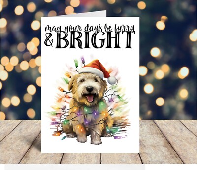 Glen Terrier Mix Glen Dog Breeds G Glen Of Imaal Terrier Christmas