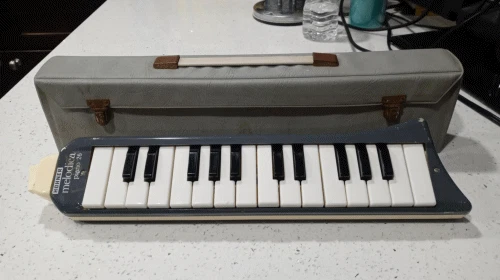 Hohner Melodica Piano 26 With Case Made In Germany Musical