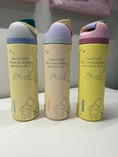 Engraved Owala Winnie the Pooh Disney Owala Free Sip 24oz