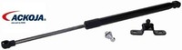 Ackoja A26-0462 Gasfeder FüR Koffer-/Laderaum Gasfeder GasdäMpfer FüR Honda