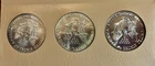Complete 1986-2006 BU American Silver Eagle 21 coin  Set Dansco Album