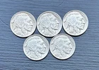Lot Of 5 1936 P Buffalo Nickel Philadelphia Mint Full Date Horn And Tail Visible